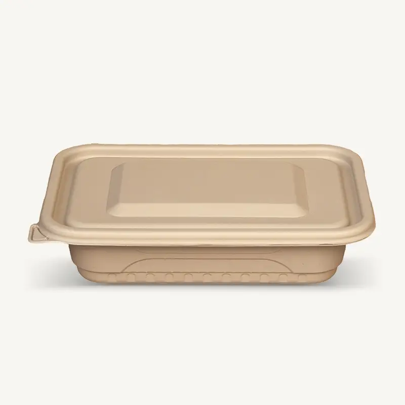 ZSS-F500 Customized BioBamboo Disposable Bamboo Lunch Box 1