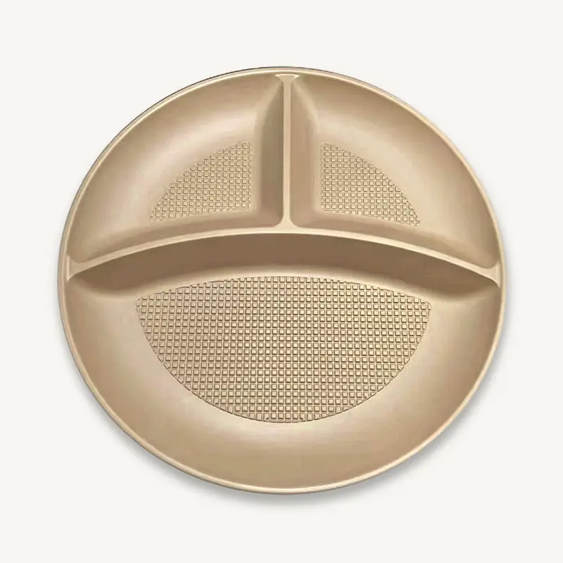 ZSS-3GD10 Manufacture BioBamboo Disposable Bamboo Multi-Compartment Plate 1