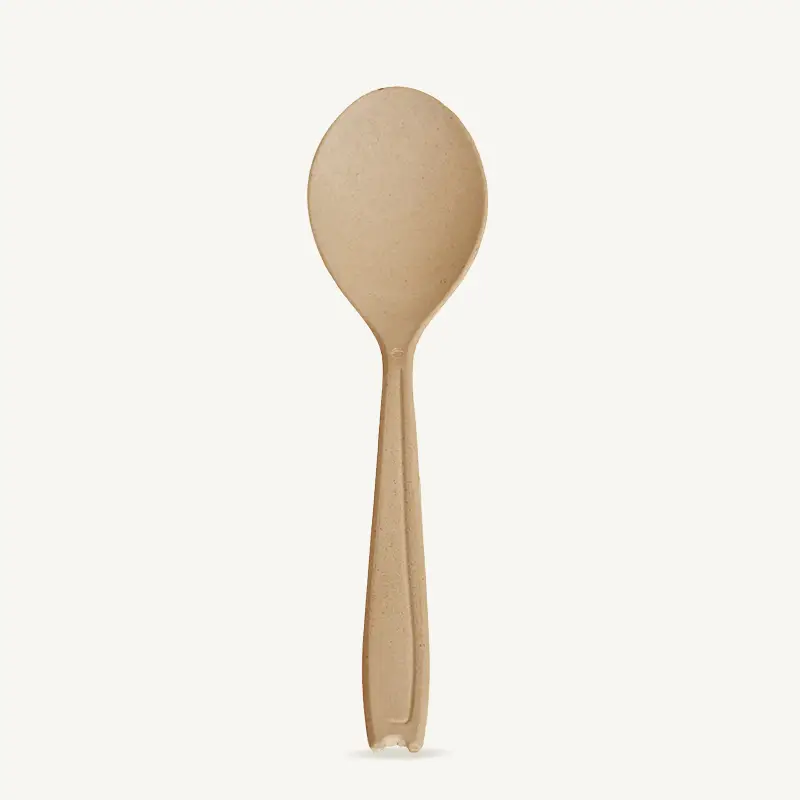 ZSS-S Customized BioBamboo Disposable Bamboo Spoon 1