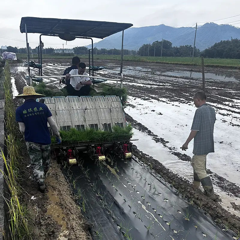 Black or White Biodegradable Soil Mulch Films for agriculture 1