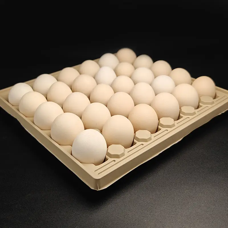 ZSS-EC Wholesale Biodegradable Compostable Egg Cartons Disposable Environmental Protection Egg Container 1