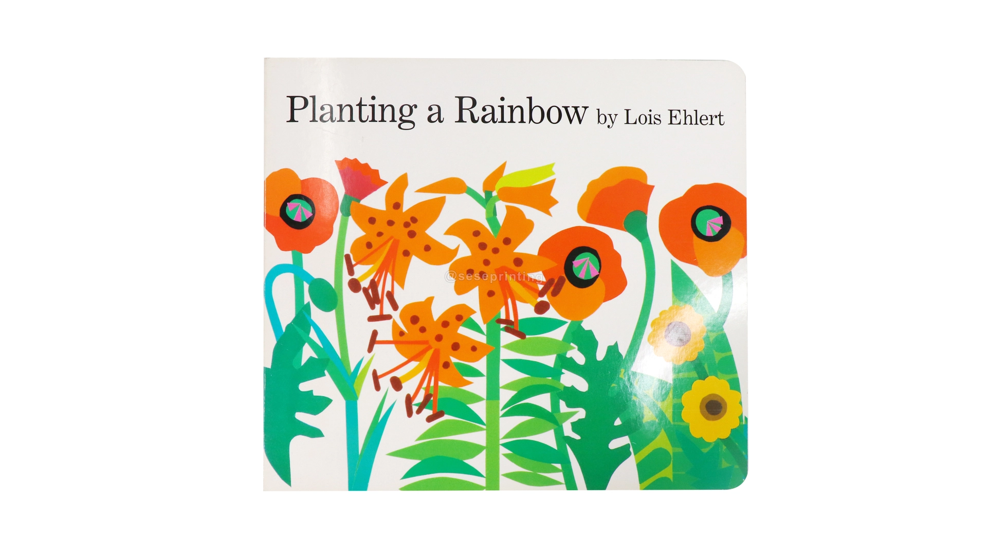 Custom Full Color Cardboard Book Children Board Book Printing 1