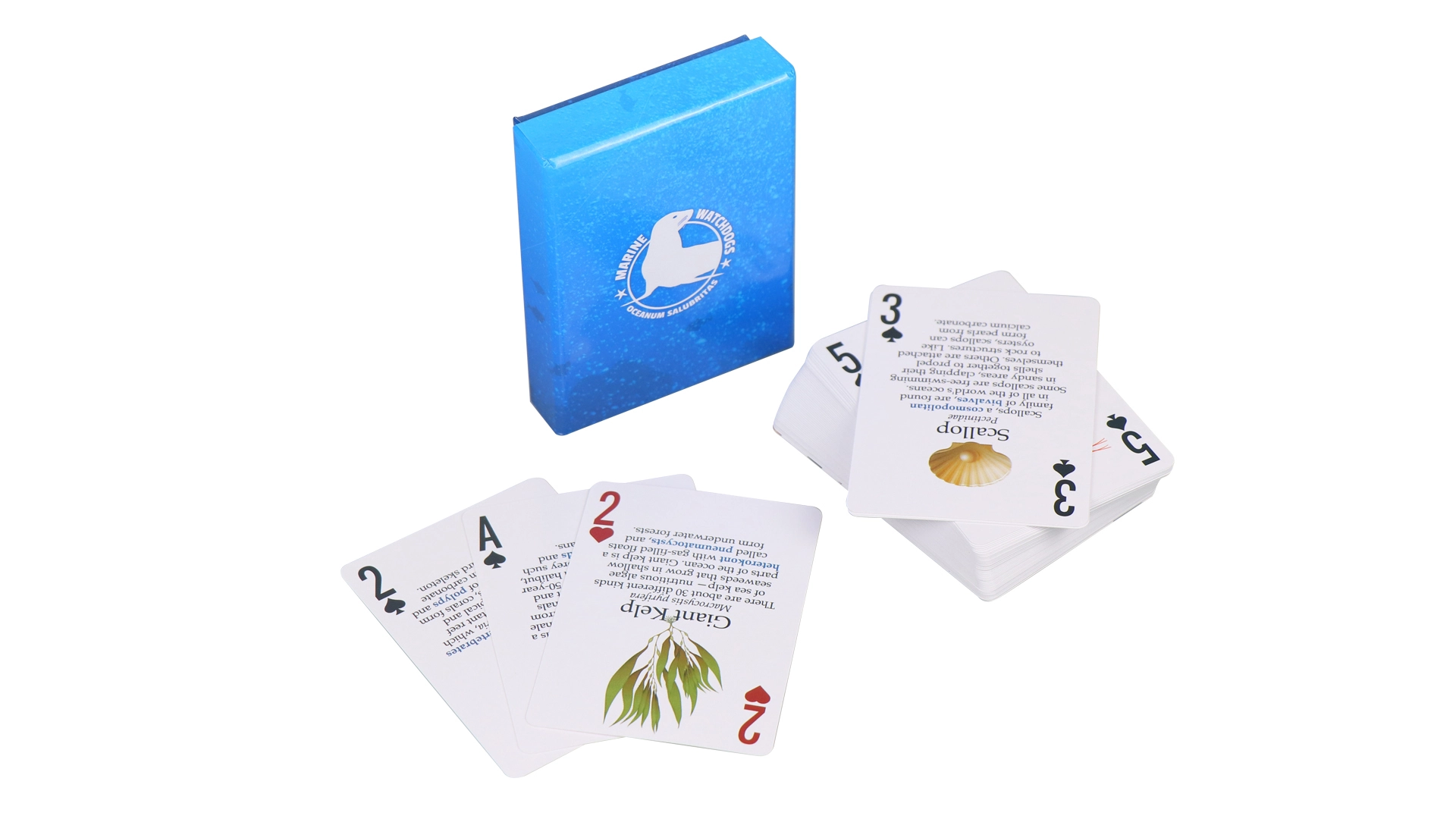 Custom Printed Game Card Poker Card Flashcards Learning for Kids 1