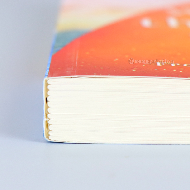 Customized Personal Publishing Book Printing Black and White Softcover Edition Book Printing 8