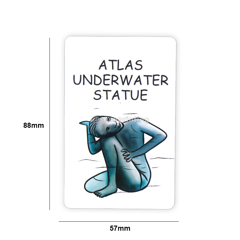 Eco-friendly Design Custom Educational Flash Cards Printing Flashcard for Children 7