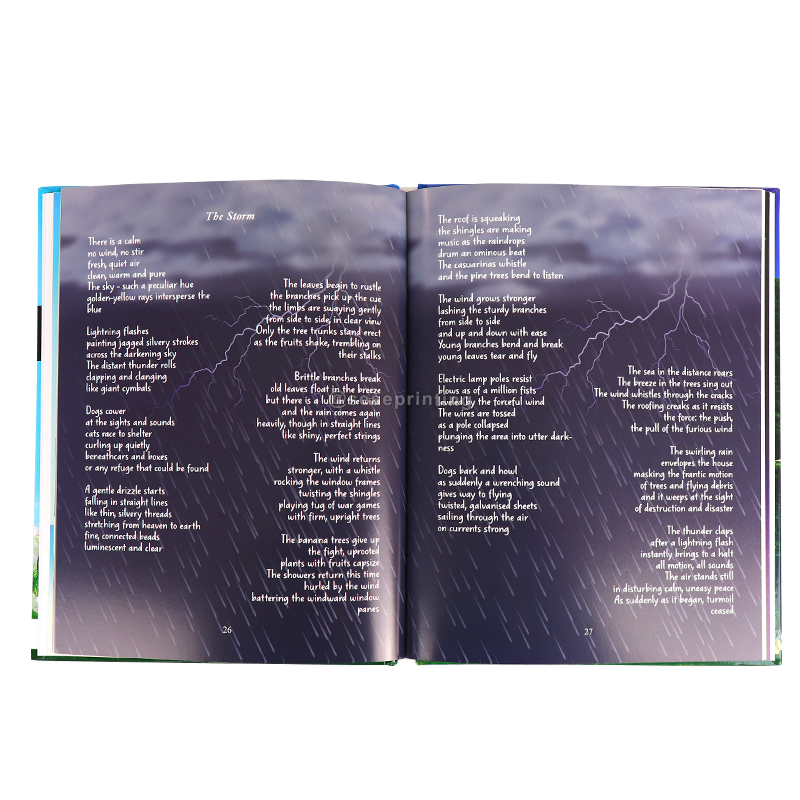 Custom Print Children Story Book Hardcover Landscape Picture Book 7