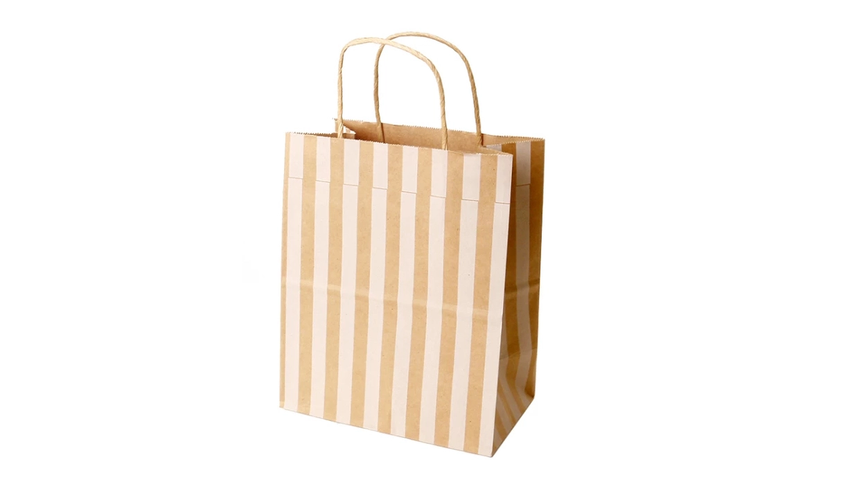 Printed Custom Logo Clothing Shopping Gift Packaging Paper Mailing Bags 1