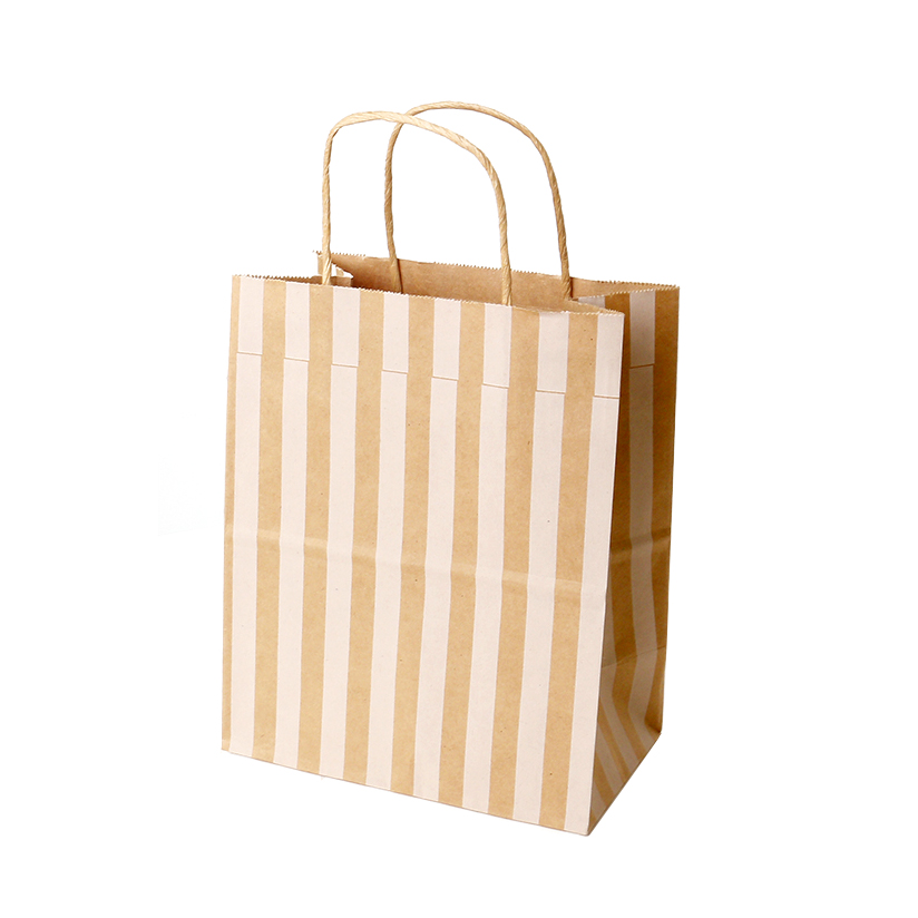 Printed Custom Logo Clothing Shopping Gift Packaging Paper Mailing Bags 8