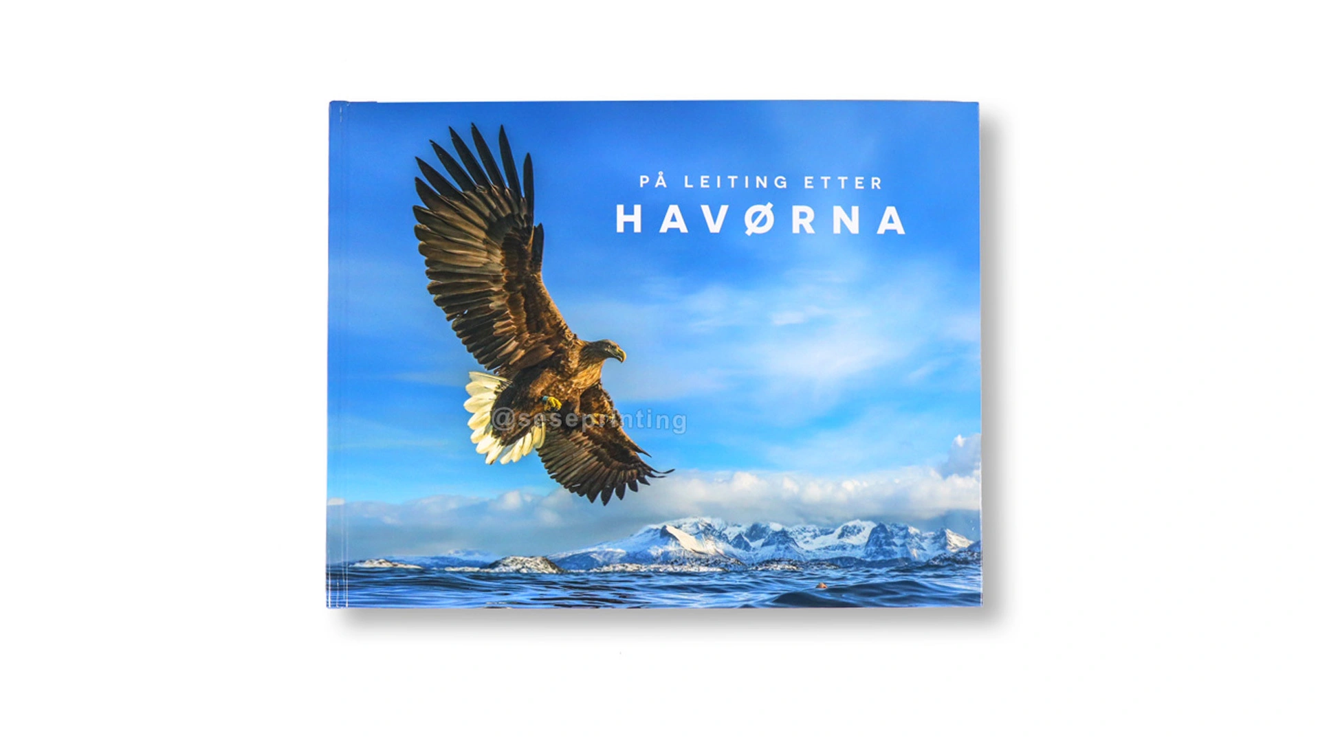 China Books Printing Manufacturer Colorful Picture Book Children Kids Book Printing 1