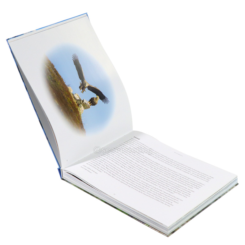 China Books Printing Manufacturer Colorful Picture Book Children Kids Book Printing 7