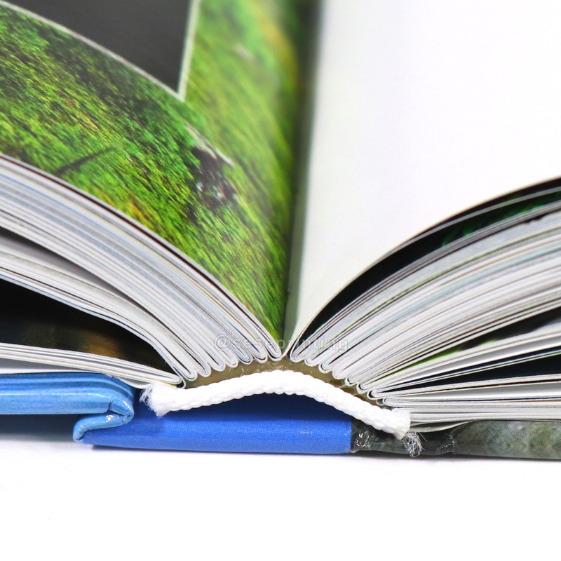 China Books Printing Manufacturer Colorful Picture Book Children Kids Book Printing 8