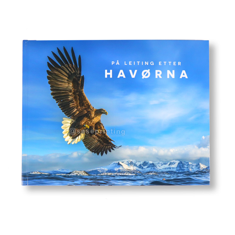 China Books Printing Manufacturer Colorful Picture Book Children Kids Book Printing 6