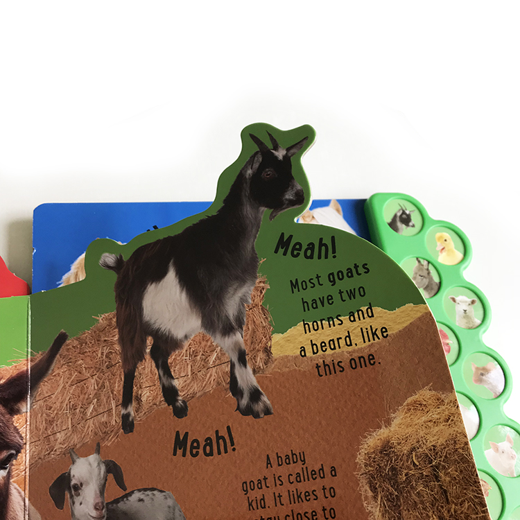 Custom Animal Sound Touch Children Board Book Print Manufacturer 8