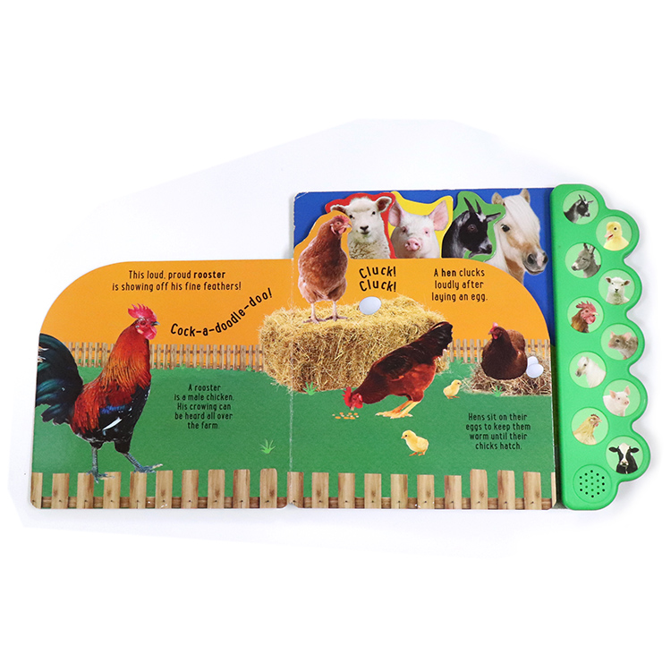 Custom Animal Sound Touch Children Board Book Print Manufacturer 6