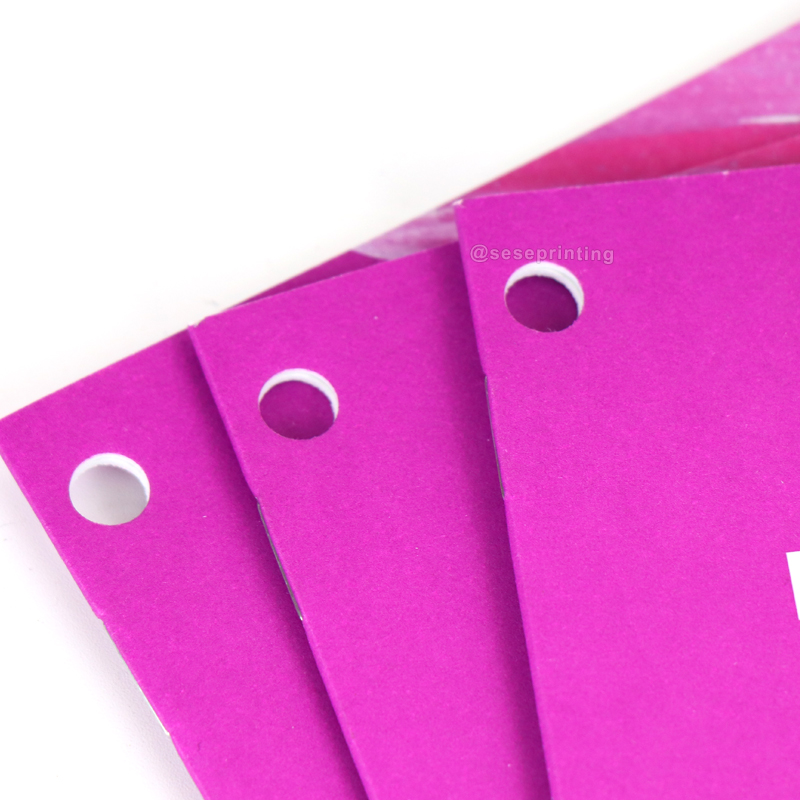 Custom Softcover Brochures Printing Saddle Stitching Booklet Photo Book 9