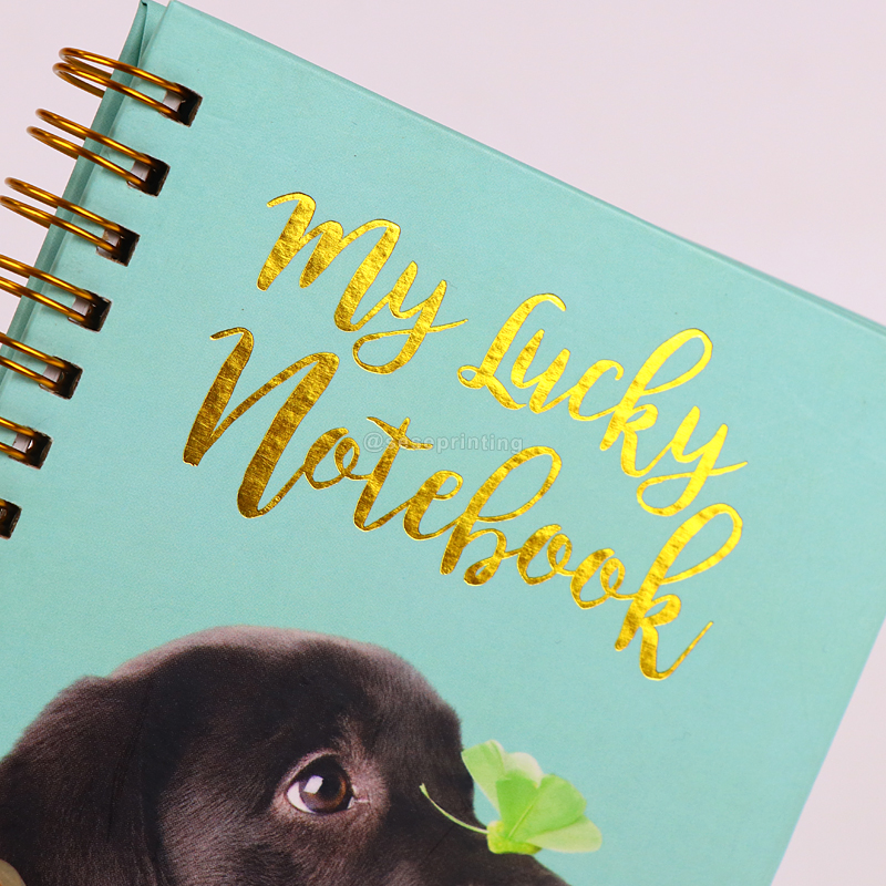 Personalized Diary Journal Custom Printed Spiral Notebook 8