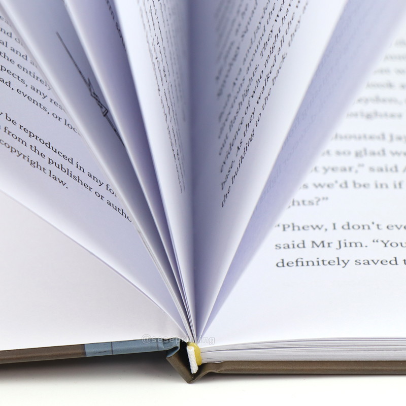 OEM Custom Hardcover Book Full Color Educational Children Story Book 9