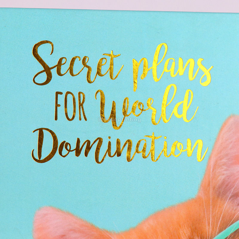 Custom Logo Spiral Notebooks Printing Travel Journal Diary 8