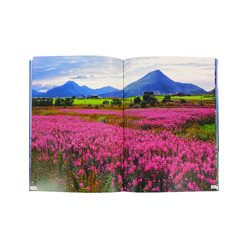China Publishing Landscape Book Custom Printing Paperback Book 8