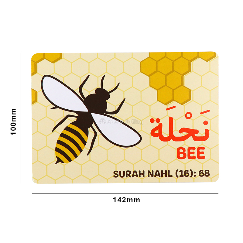 Custom Printing Educational Flash Card Word Cognition Memory Cards 8