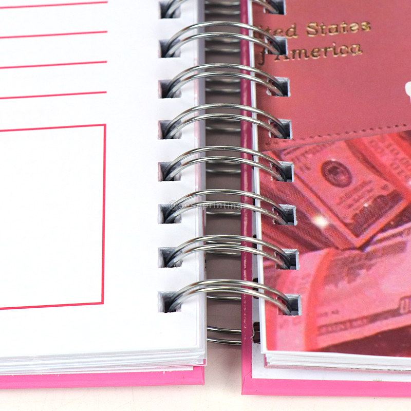 Custom Daily Finance Organizer Journal Budget Planner Book 9