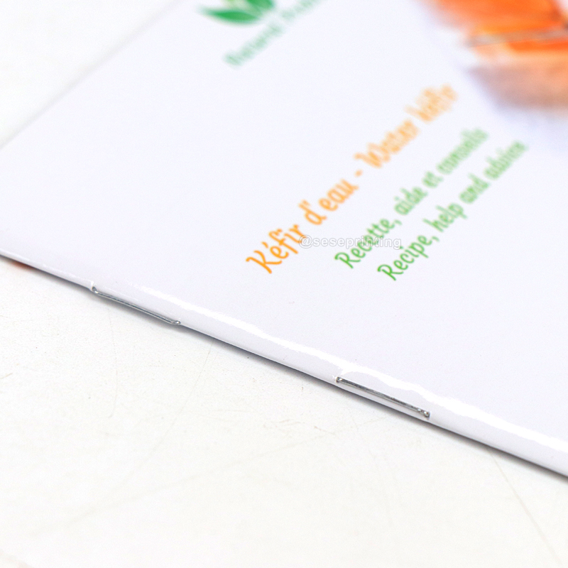 Custom Brochure Printing Glossy Booklet Instruction Manual 9