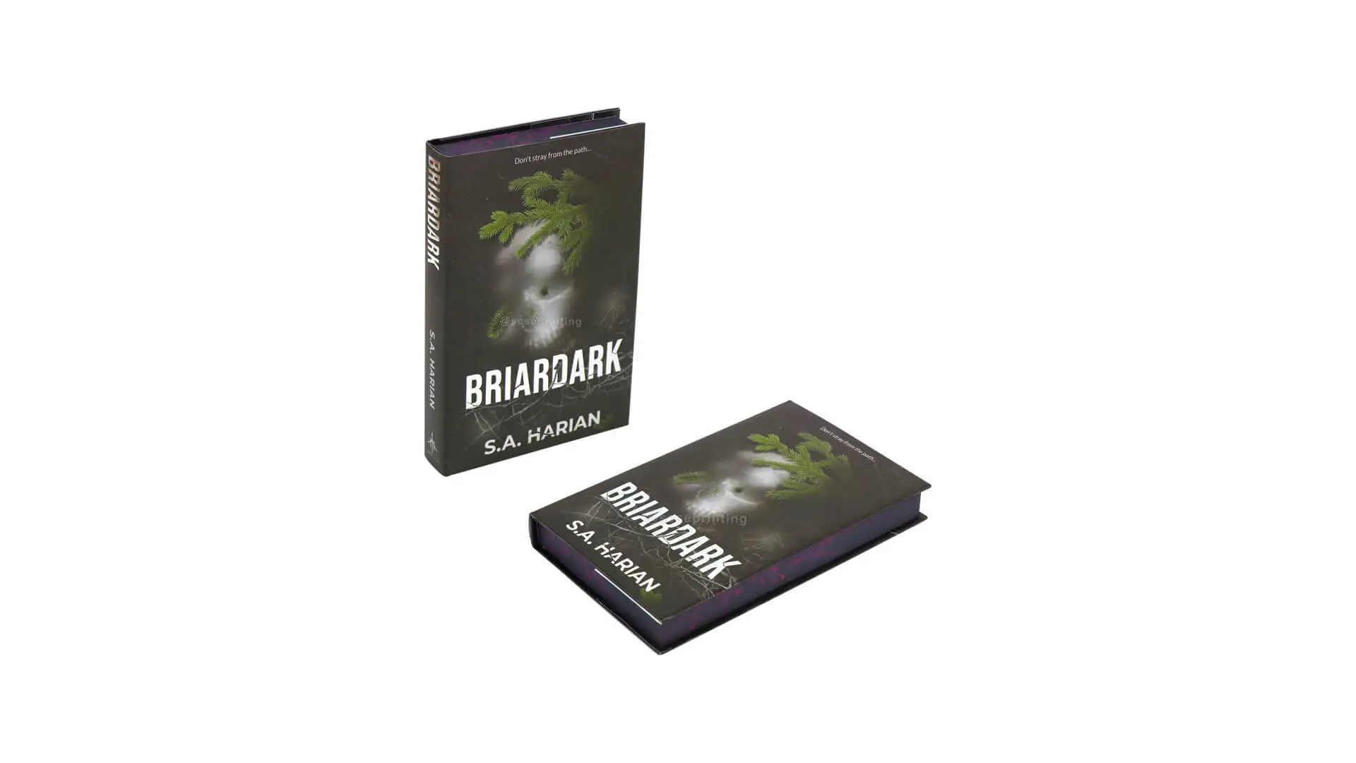 Book Publisher Printing Hardcover with Sprayed Edges and Endpaper 1