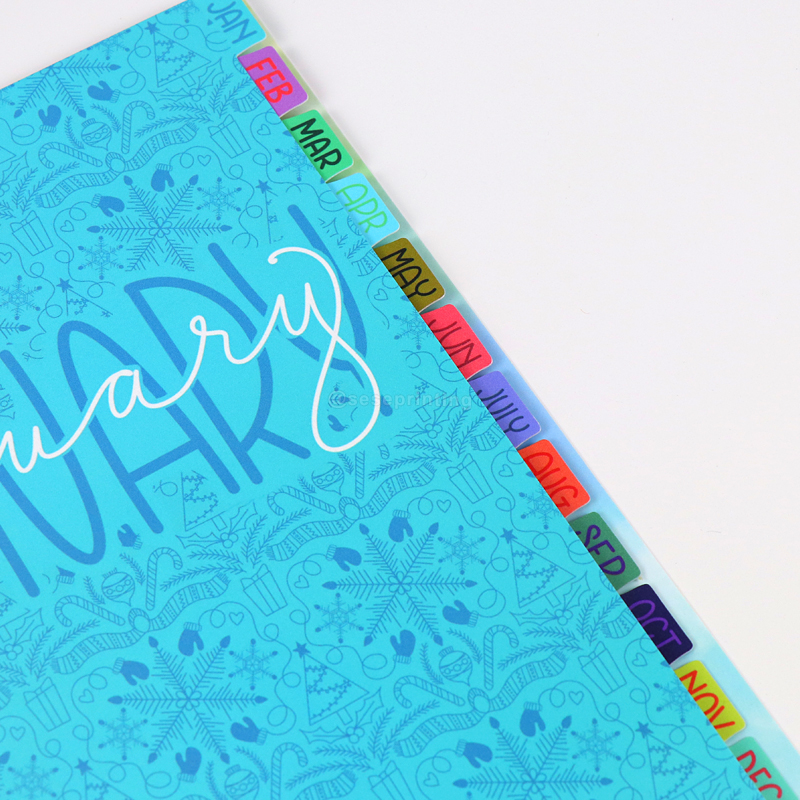 Custom PVC Cover Monthly Planner Printing Spiral Notebooks 10