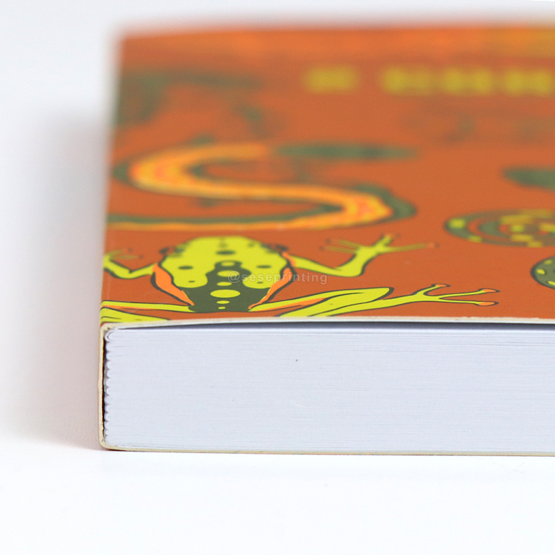 Customized Notebooks A5 Softcover Journal Notebook Printing 9