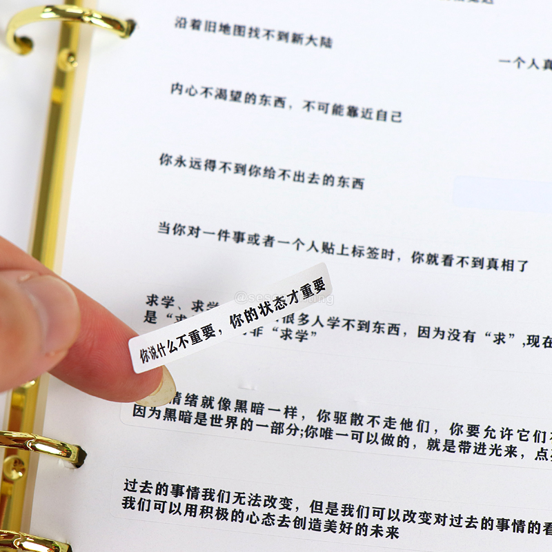 Custom Journal Leather Loose-Leaf Notebook Printing Planner 10