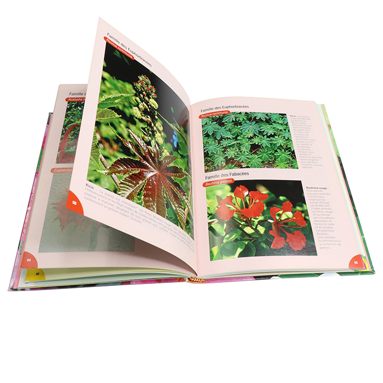 Perfect Book Publishing Printing Paperback Custom Book Printing 7