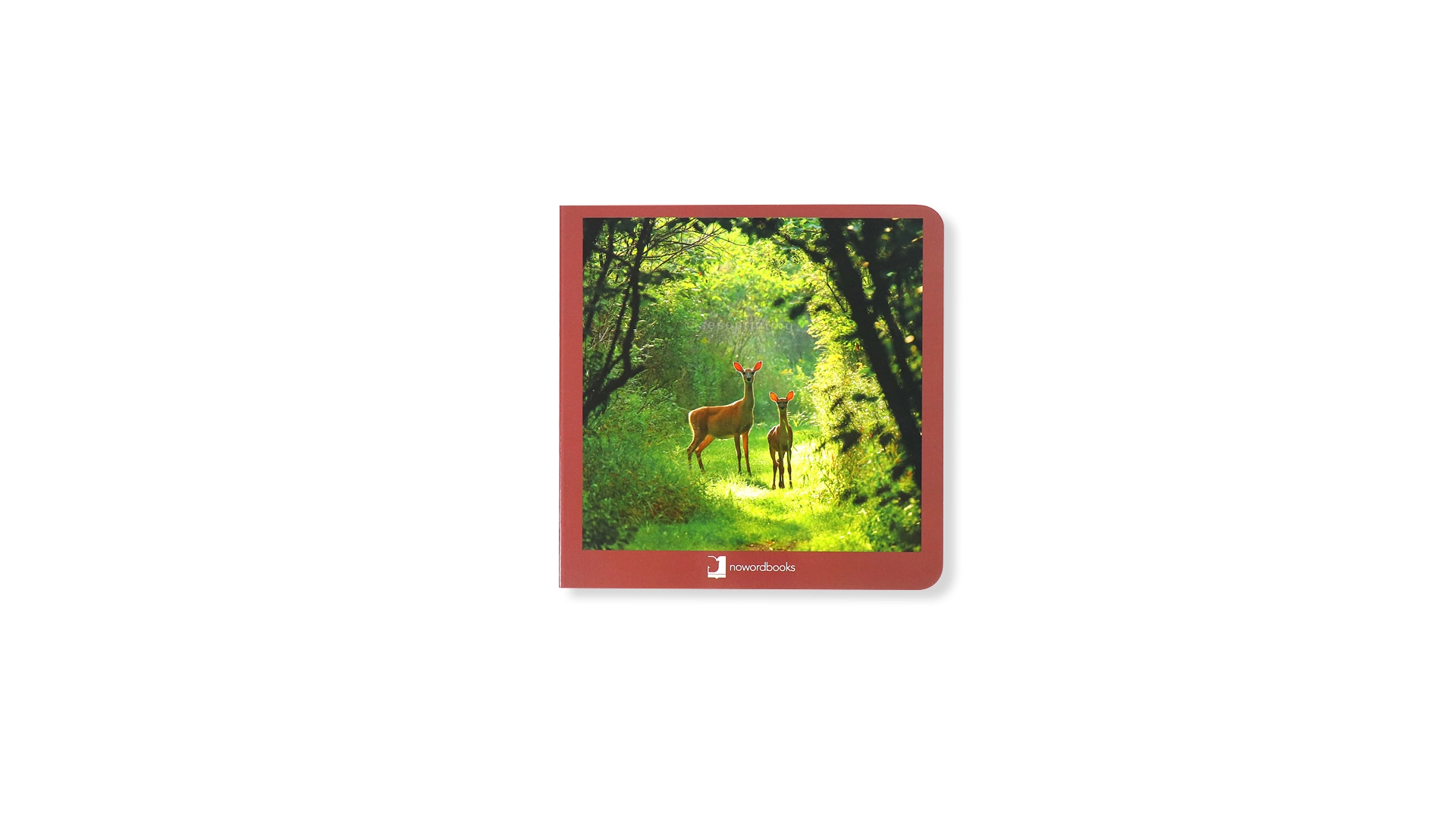 China Personalized Children Book Custom Board Books Printing 1