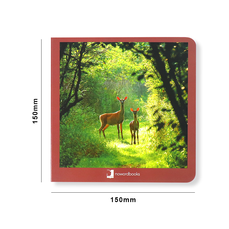 China Personalized Children Book Custom Board Books Printing 6