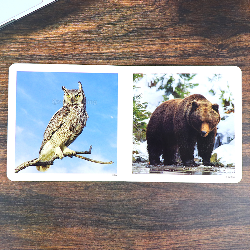 China Personalized Children Book Custom Board Books Printing 9