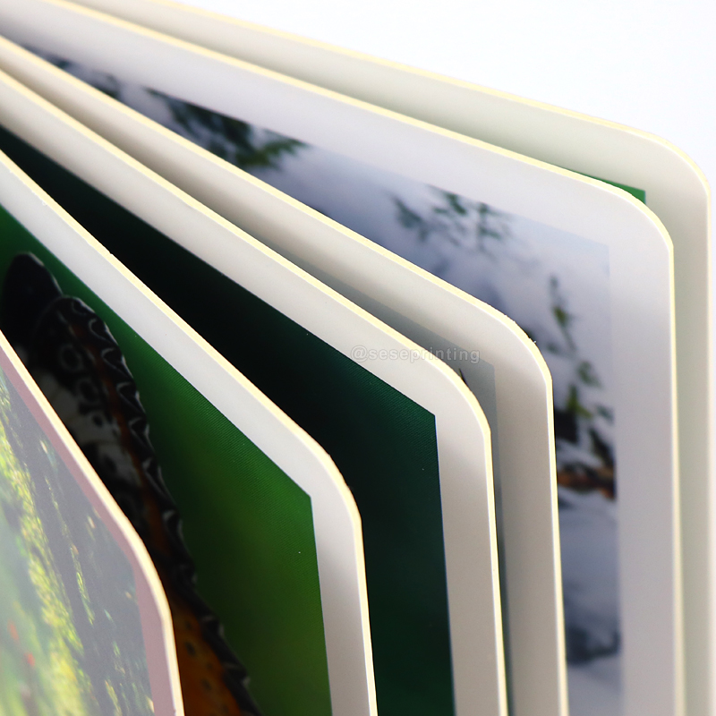 China Personalized Children Book Custom Board Books Printing 8