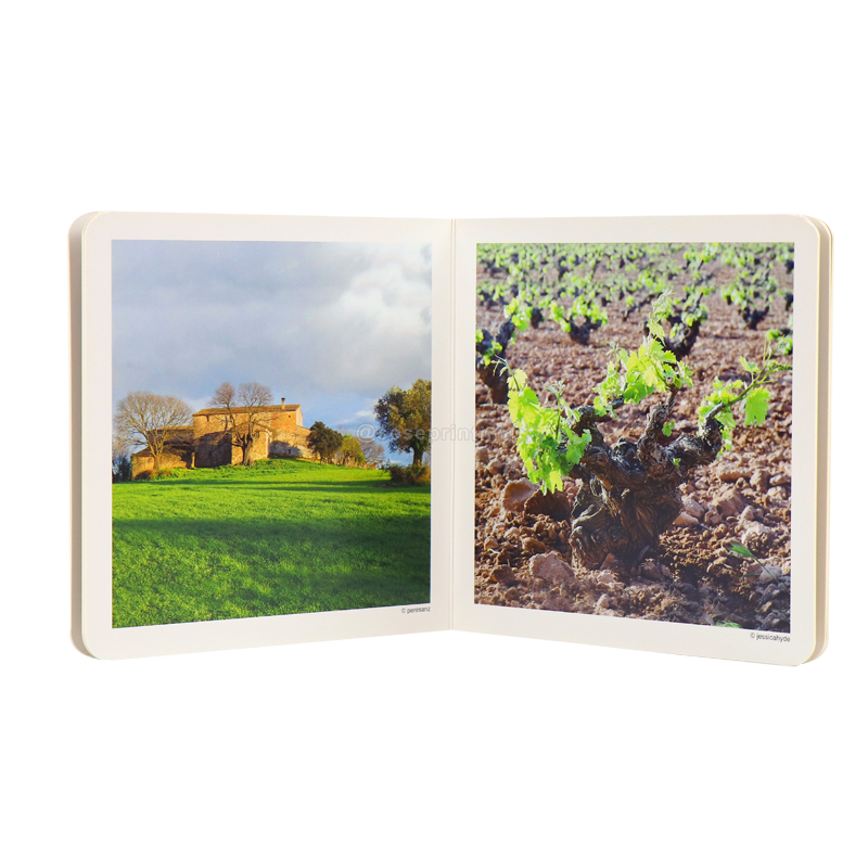 OEM Custom Cardboard Book for Kids Hardcover Story Book Printing 7