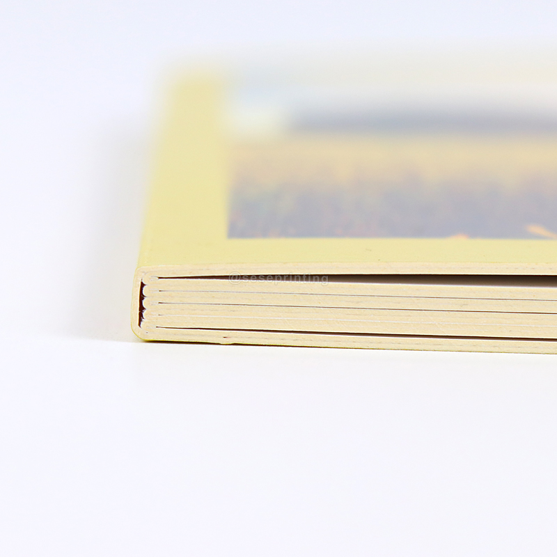 OEM Custom Cardboard Book for Kids Hardcover Story Book Printing 10