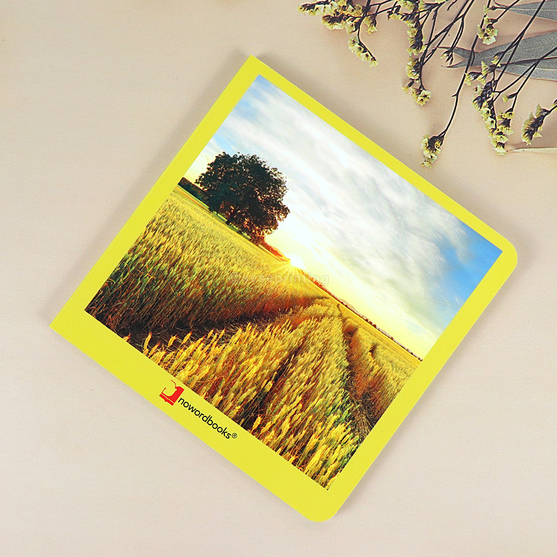 OEM Custom Cardboard Book for Kids Hardcover Story Book Printing 8