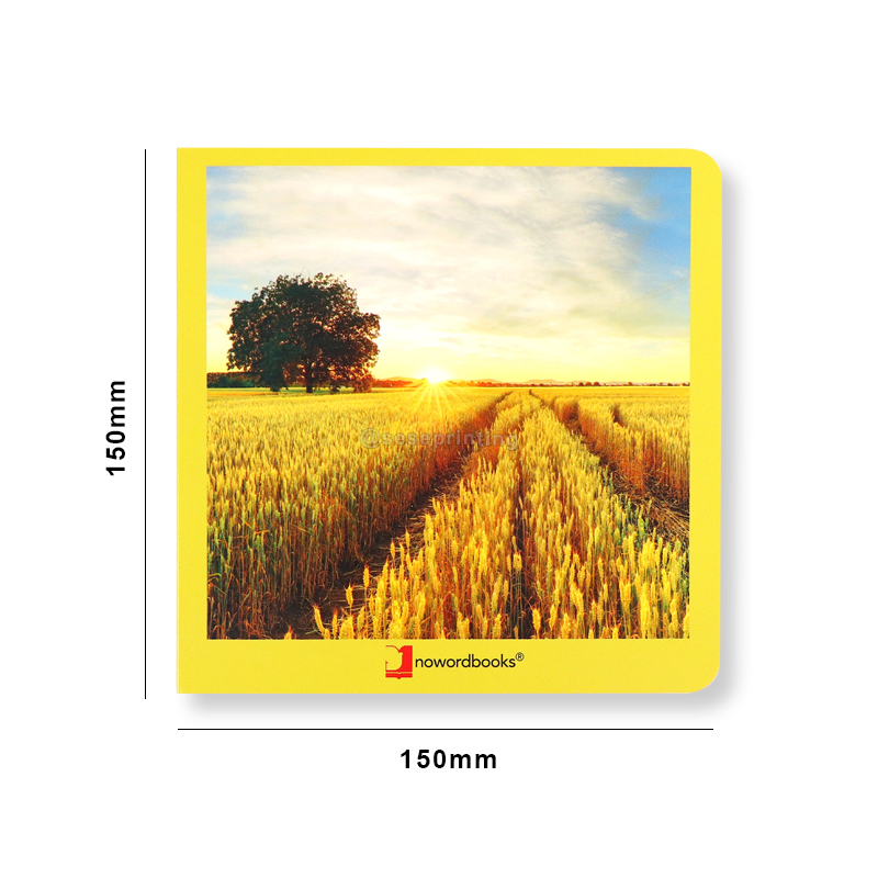 OEM Custom Cardboard Book for Kids Hardcover Story Book Printing 6