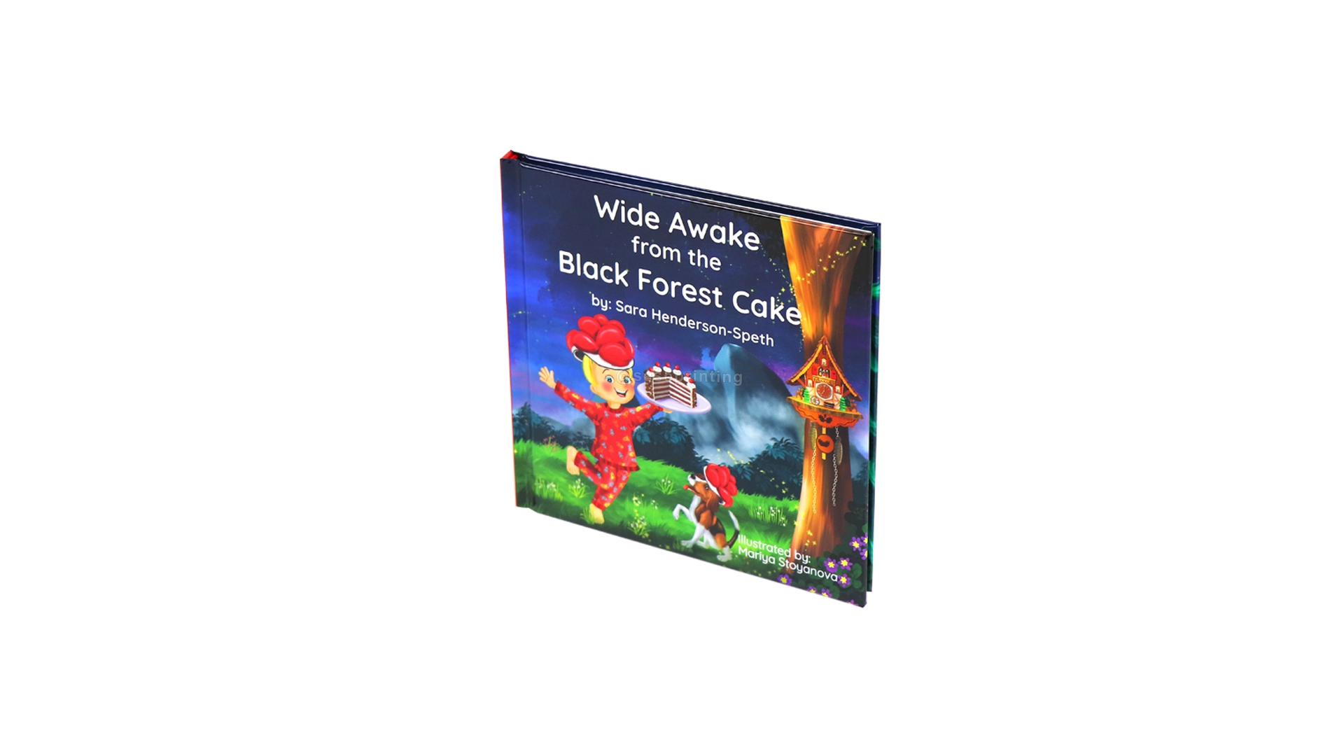 Hardcover Picture Book Custom Book Publishing Printing Kids Books 1