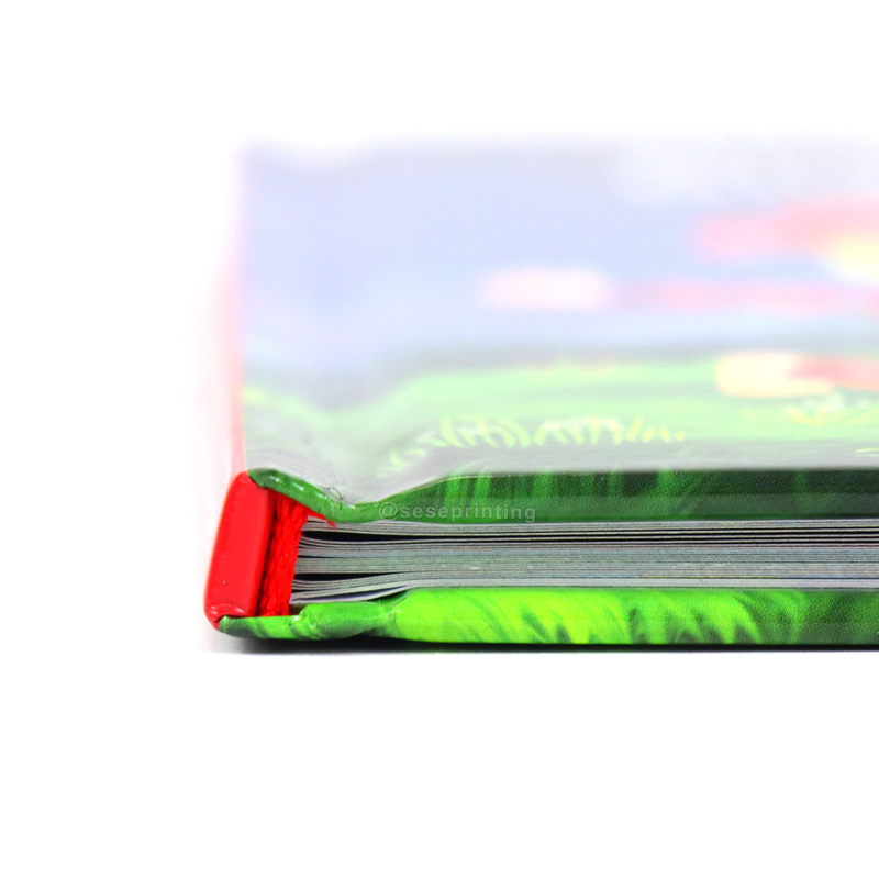 Hardcover Picture Book Custom Book Publishing Printing Kids Books 9