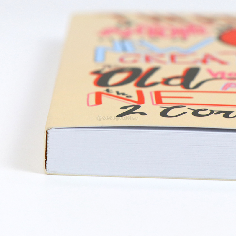 A5 Diary Customizable Notebooks Printing Paperback Journal 9