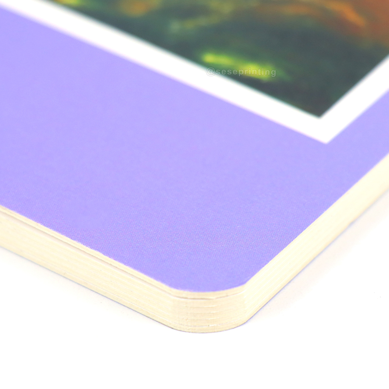 Custom Board Book Hardcover Landscape Book Printing for Kids 8