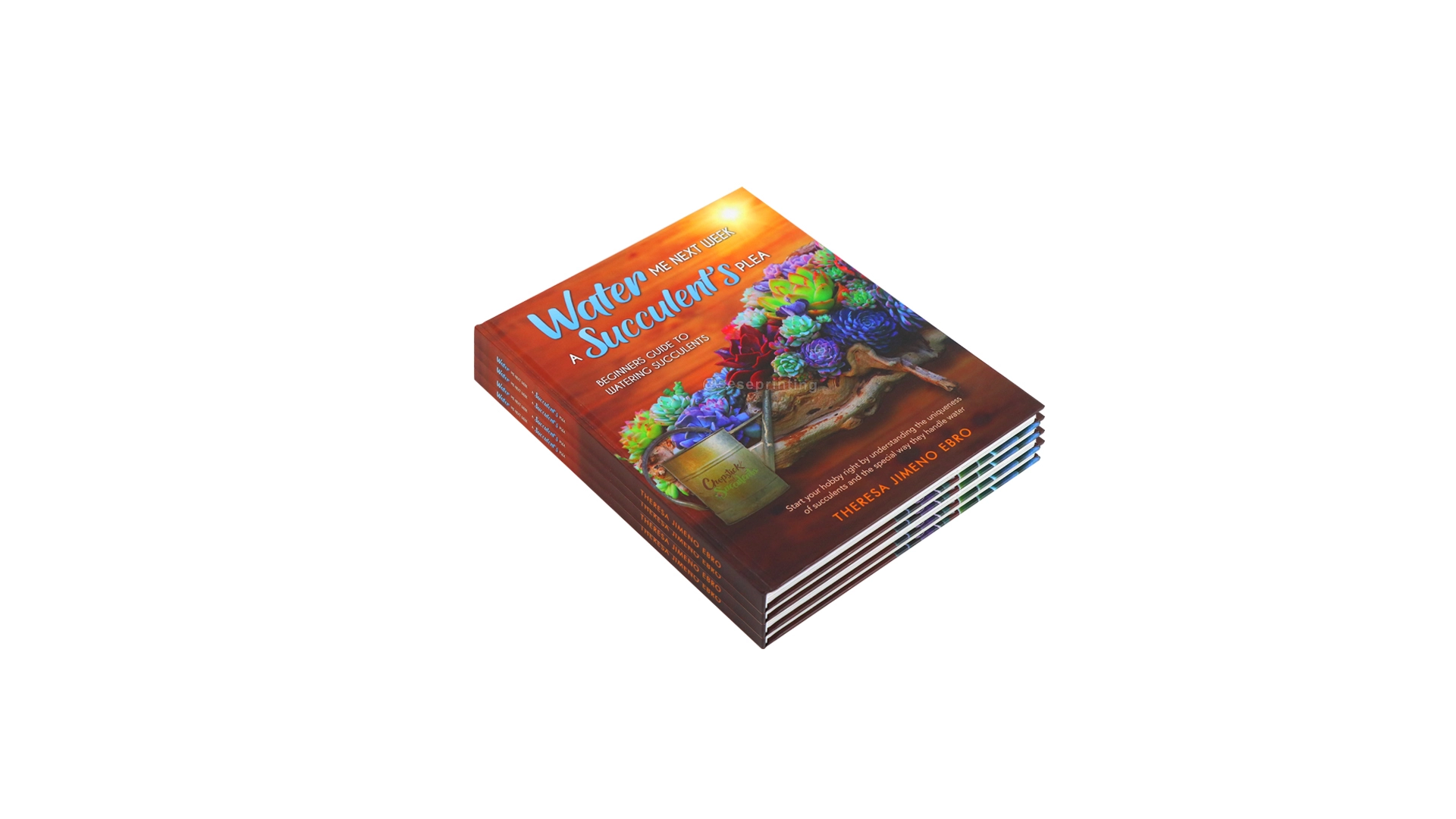 Custom Printing Textbook Hardcover Illustration Books Manufacturer 1