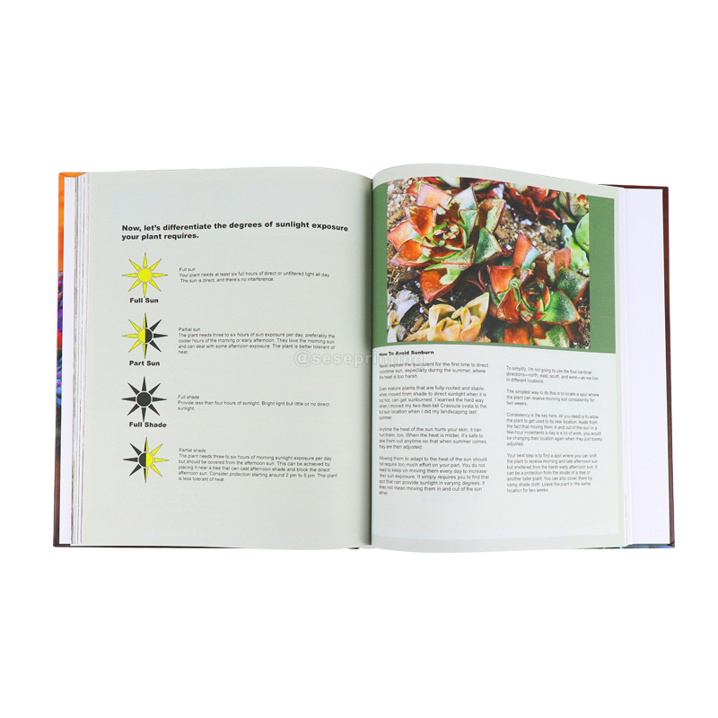 Custom Printing Textbook Hardcover Illustration Books Manufacturer 8