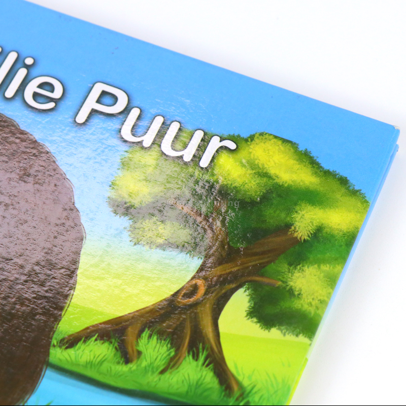 Custom Book Printing Glossy Coated Paper Kid Illustration Book 8