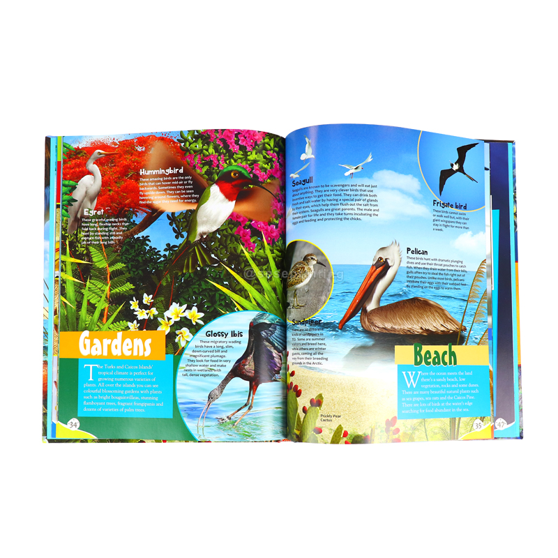 Printing Early Education Island Books Activity Books for Kids 7