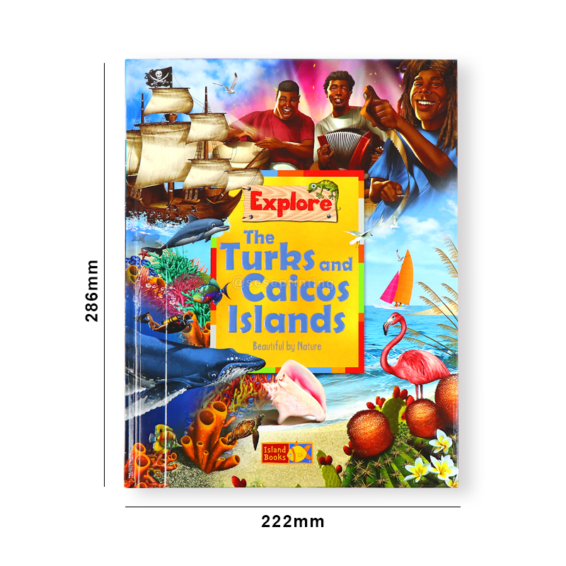 Printing Early Education Island Books Activity Books for Kids 6