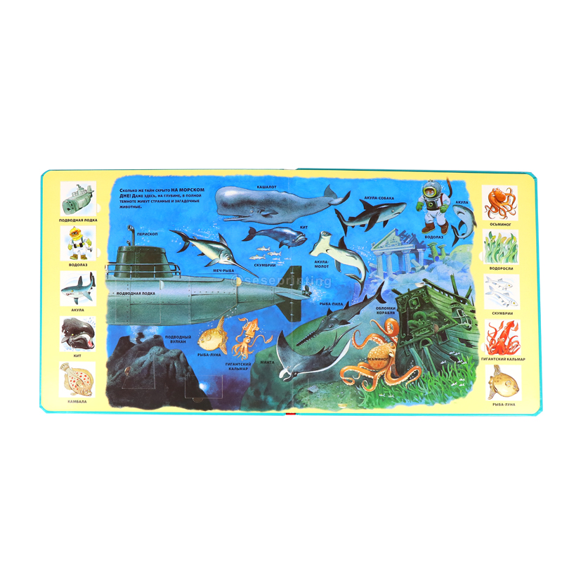 China Publishing Book Printing Custom Lift Flap Kids Board Book 7