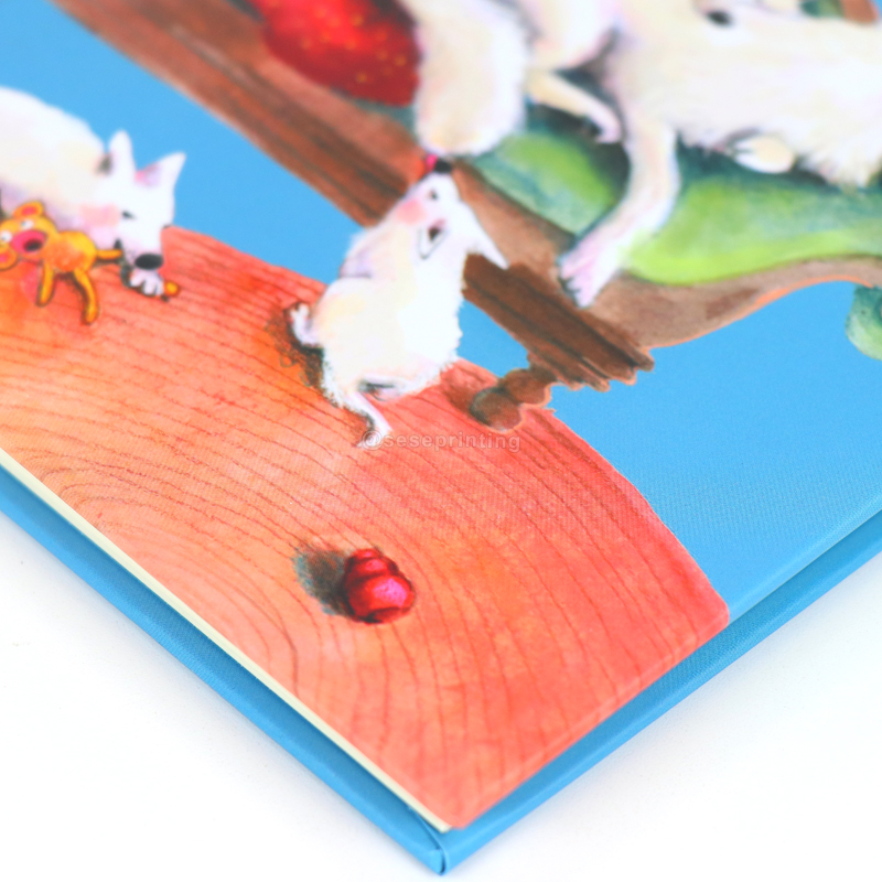 Custom Self Published Book Printing Children Educational Books 8